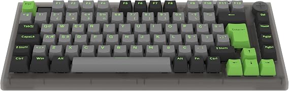 Hawk Gaming HK610 RGB TKL Gateron Switch Kablolu/Kablosuz Oyuncu Klavyesi