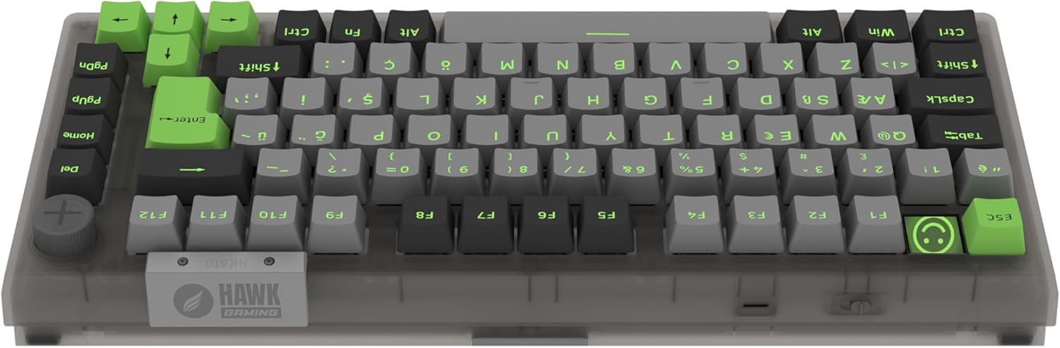 Hawk Gaming HK610 RGB TKL Gateron Switch Kablolu/Kablosuz Oyuncu Klavyesi