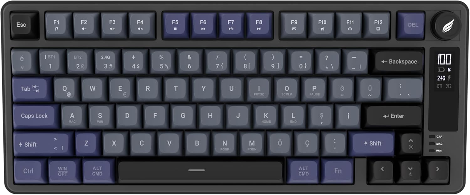 Hawk HK255 Membrane LCD RGB Kablosuz/Bluetooth Gri Mor %75 Türkçe Gaming Oyuncu Klavye