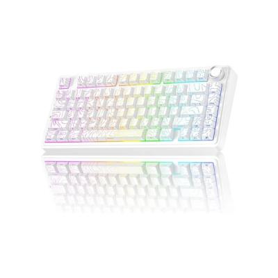 AULA F75 MEKANİK RGB TKL SEİYA SWİTCH KABLOSUZ MAKROLU HOT SWAP KLAVYE DESENLİ BEYAZ