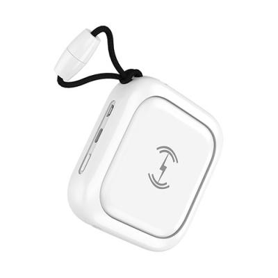 S-link IP-W12 10000mAh Micro+Type C  Powerbank