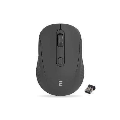 EVEREST SM-300 USB SİYAH 4D OPTİK ALKALİN PİL KABLOSUZ MOUSE