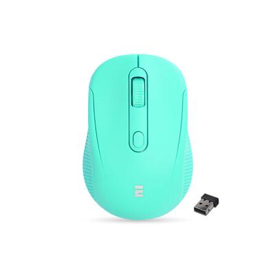 EVEREST SM-300 YEŞİL USB 4D OPTİK SÜPER SESSİZ ALKALİN PİL KABLOSUZ
