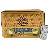 EVERTON RT-826 NOSTALJİK RADYO