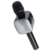 LINKTECH LBS-SM05 KARAOKE MİKROFON SİYAH