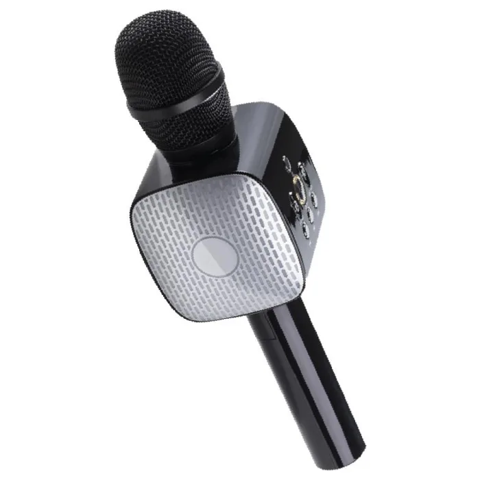 LINKTECH LBS-SM05 KARAOKE MİKROFON SİYAH
