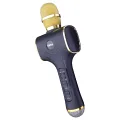 LINKTECH SM06 KARAOKE BLUETOOTH MİKROFON