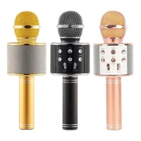 POLYGOLD PG-112 KARAOKE MİKROFON