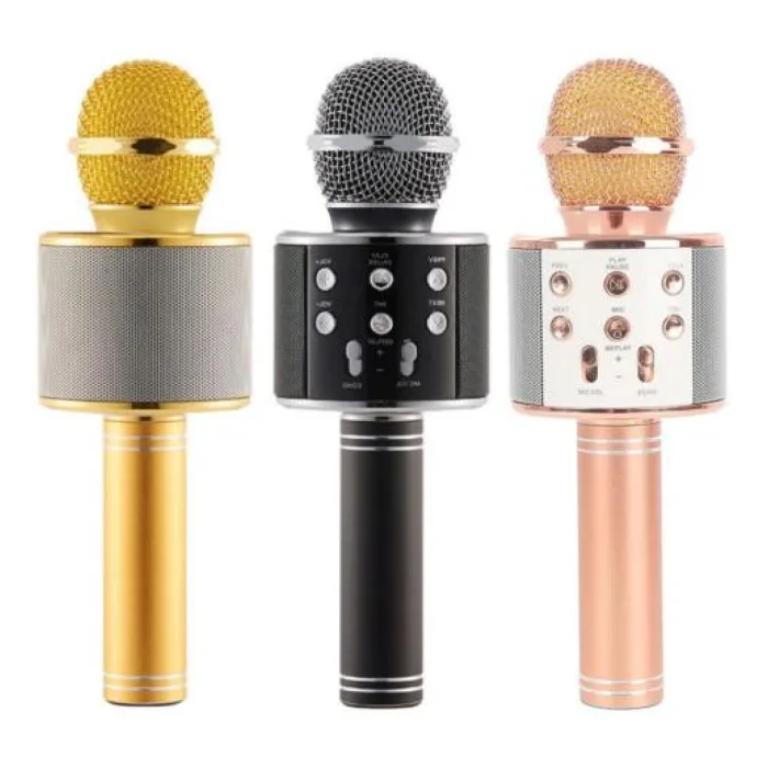 POLYGOLD PG-112 KARAOKE MİKROFON