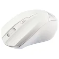 SWAN SONG SS-M204-E KABLOSUZ MOUSE BEYAZ-SİYAH