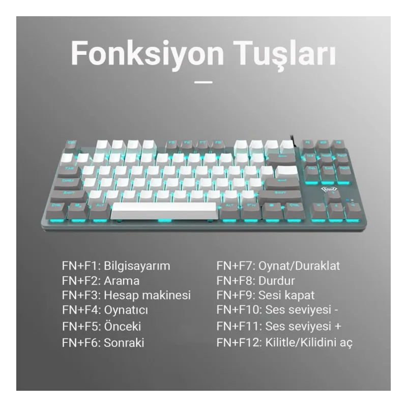 Aula F3287 Blue Switch Kablolu Mekanik Oyuncu Klavyesi