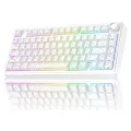 Aula F75 Mekanik RGB TKL Seiya Switch Kablosuz Makrolu Hot Swap Gaming Klavye Desenli Beyaz