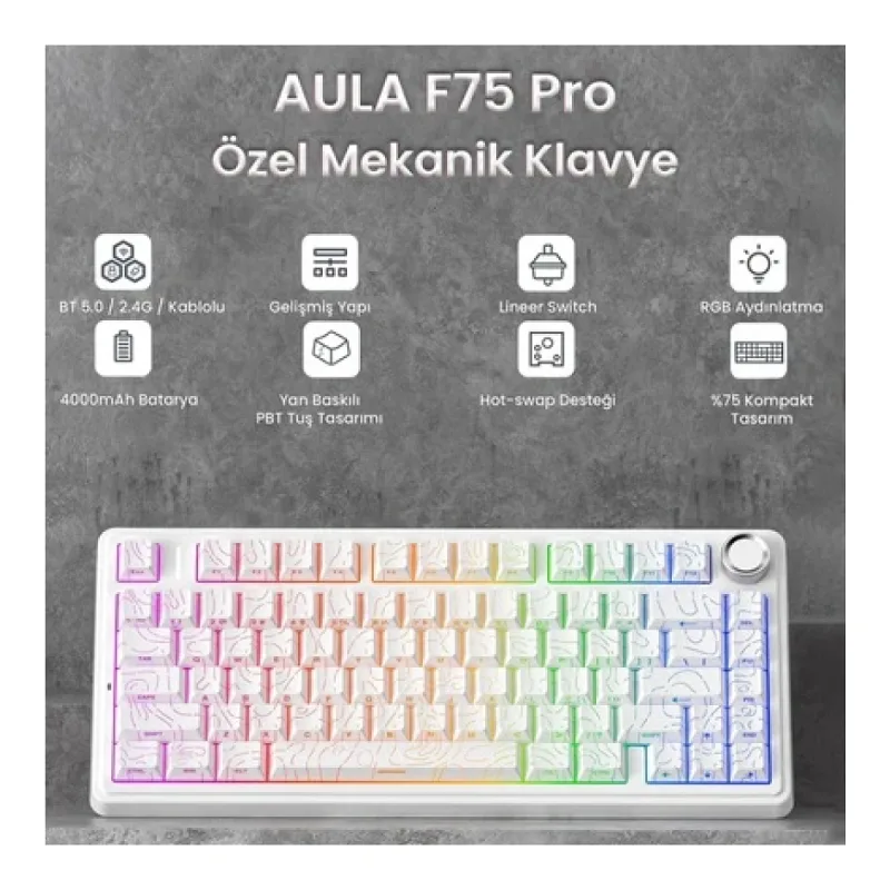 Aula F75 Mekanik RGB TKL Seiya Switch Kablosuz Makrolu Hot Swap Gaming Klavye Desenli Beyaz