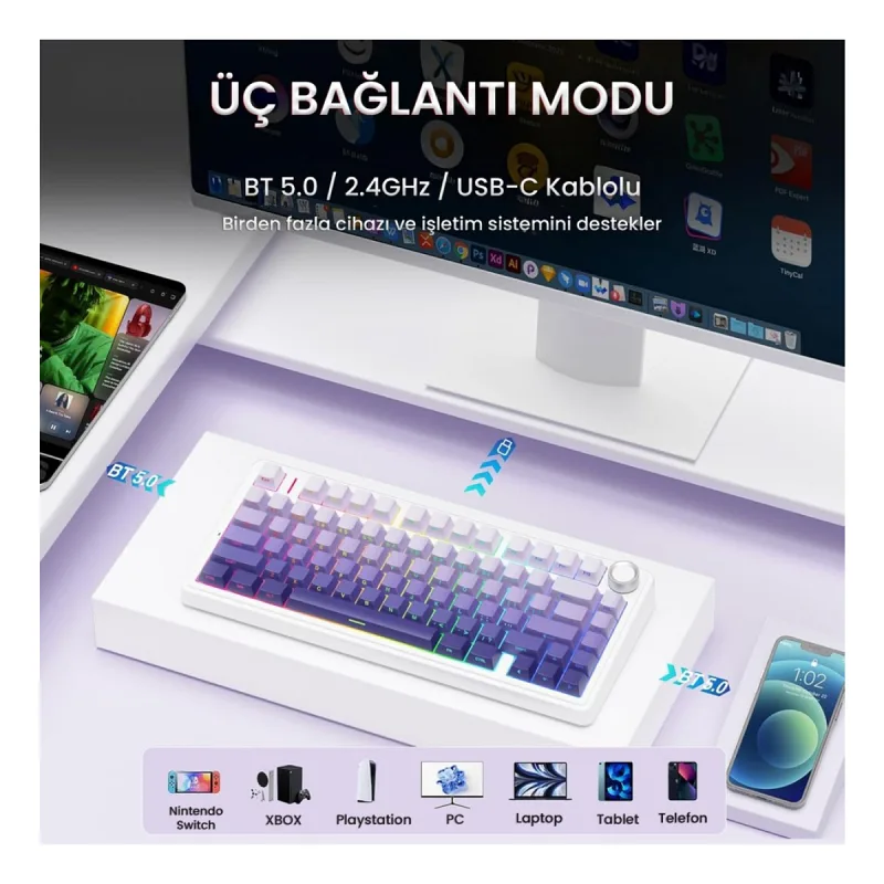 Aula F75 Mekanik RGB TKL Seiya Switch Kablosuz Makrolu Hot Swap Gaming Klavye Gradyan Mor