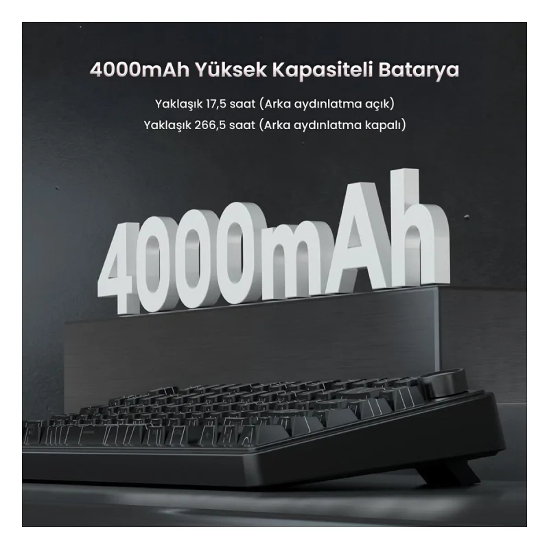 Aula F75 Mekanik RGB TKL Seiya Switch Kablosuz Makrolu Hot Swap Gaming Klavye Desenli Siyah