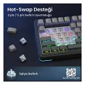 Aula S75 Pro Mekanik RGB TKL Seiya Switch Kablosuz Makrolu Hot Swap Klavye Gradyan Gri