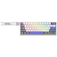 AULA WİN60 HE MAX MANYETİK KLAVYE RAPİD TRİGGER GRAYWOOD SWTİCH 8000HZ RGB TKL HOT SWAP OYUNCU KLAVYESİ MAVİ