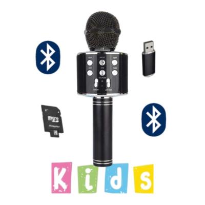 BLİC BLS-25 WİRELESS MICROPHONE KARAOKE