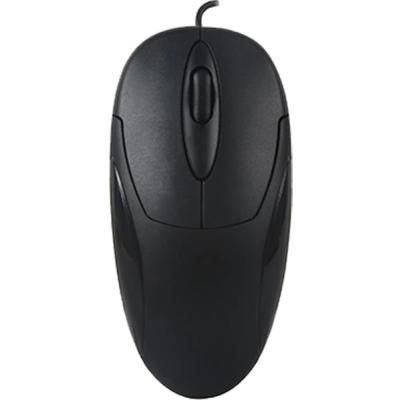 Everest SM-216 Usb Siyah 1200dpi Optik Mouse