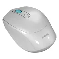 EVEREST SMW-87 USB GRİ 2.4GHZ KABLOSUZ MOUSE