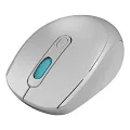EVEREST SMW-87 USB GRİ 2.4GHZ KABLOSUZ MOUSE