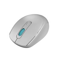 EVEREST SMW-87 USB GRİ 2.4GHZ KABLOSUZ MOUSE