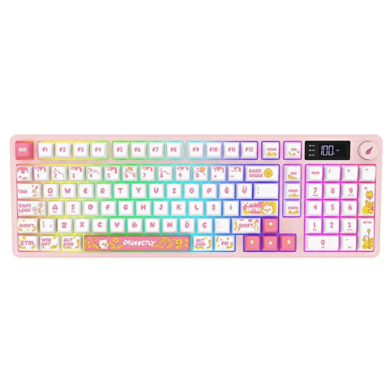 Hawk Gaming HK258 Beyaz-Pembe RGB Membrane Switch Kablolu/Kablosuz Oyuncu Klavyesi