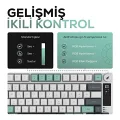 HK255 Membrane LCD RGB Kablosuz/Bluetooth Gri Yeşil %75 Türkçe Gaming Oyuncu Klavye