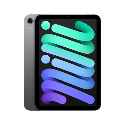 İPAD MİNİ Wİ-Fİ + CELLULAR 256GB - UZAY GRİSİ (MXPT3TU/A)