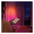 Philips Hue Gradient Signe Zemin Işığı - Siyah