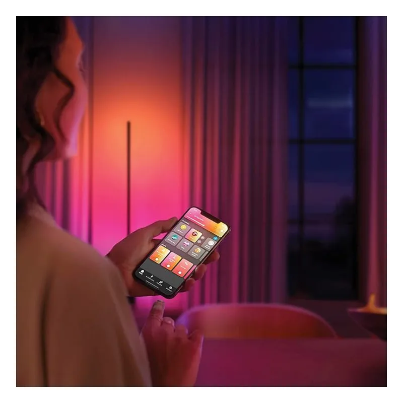 Philips Hue Gradient Signe Zemin Işığı - Siyah