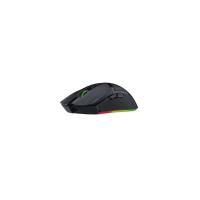 RAZER COBRA PRO RZ01-04660100-R3 KABLOSUZ OPTİK OYUNCU MOUSE