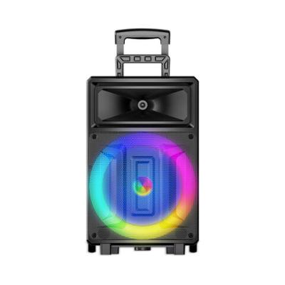 SING-E ZQS12131 12 İNÇ BLUETOOTH OUTDOOR MİKROFONLU KARAOKE HOPARLÖR RGB