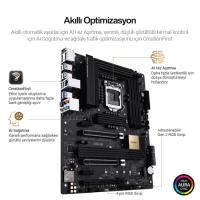 Asus PROART Z490-CREATOR 10G S+V+GL 1200p
