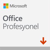 MS Office Pro 2019 ESD Lisans 269-17072