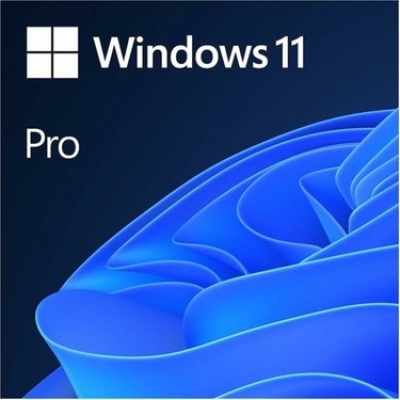 MİCROSOFT WİNDOWS 11 PRO 64 BİT İŞLETİM SİSTEMİ (FQC-10556)